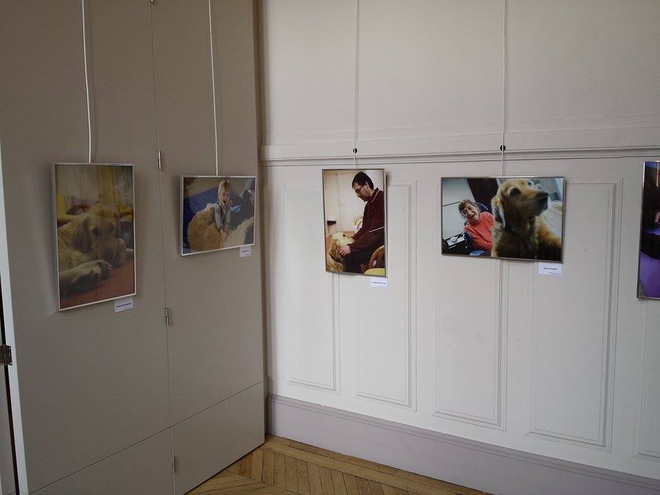 expo photo zoothérapie